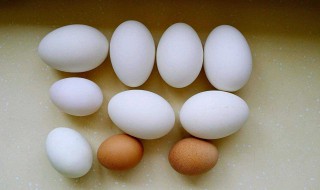 吃鹅蛋的好处和功效 吃鹅蛋有什么好处和功效