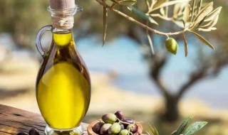 炒菜的橄榄油可以擦身体吗 橄榄油可以擦身体吗
