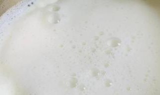 现挤水牛奶怎么煮 现挤牛奶如何煮