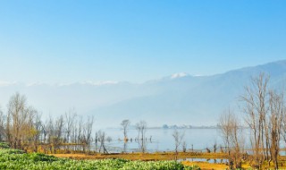 发展湿地生态游的意义 湿地有什么生态意义