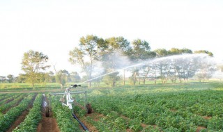 灌溉农业区耕地面积扩大的主要原因 有效灌溉面积和耕地灌溉面积