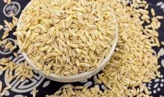 燕麦芽米的功效与作用 燕麦胚芽米的功效有哪些