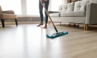 怎么快速清洁地板 怎么快速清洁地板缝隙