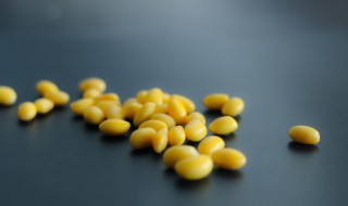 嫩黄豆怎么保存到冬天吃 嫩黄豆怎么保存