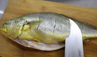 清蒸的黄鱼怎么做 清蒸的黄鱼怎么做最好吃