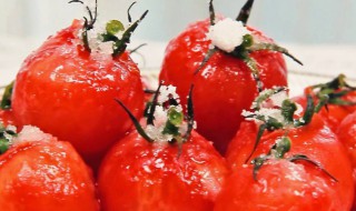 糖渍小番茄的制作方法 做糖霜小番茄的方法
