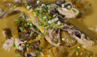 如何做酸菜黄骨鱼 如何做酸菜黄骨鱼汤