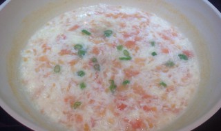 西红柿米粥的做法大全 西红柿粥做法步骤