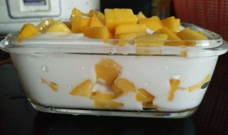 芒果酸奶昔的做法 芒果酸奶昔如何做