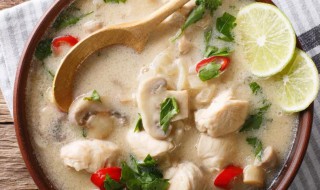 椰汁炖鸡汤的做法 椰浆鸡汤的做法步骤