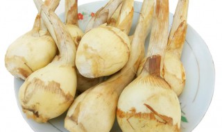 茨菇的功效与作用及食用方法禁忌 茨菇的功效与作用及食用方法