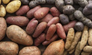 红薯烙馍怎么做 红薯烙馍的做法