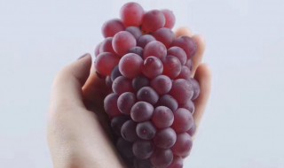 葡萄可以做什么美食简单 葡萄可以做哪些美食