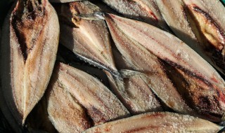 腌制鲅鱼的做法 腌制鲅鱼的做法和配方