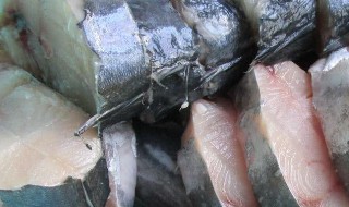 咸菜鲅鱼最正宗的做法窍门 咸鲅鱼的做法大全窍门
