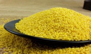粟米的营养价值与功效 粟米的营养价值