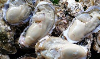 牡蛎的功效与作用及做法大全 牡蛎的功效与作用及做法