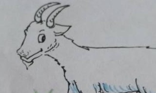 小羊怎么画简单又可爱 山羊怎么画