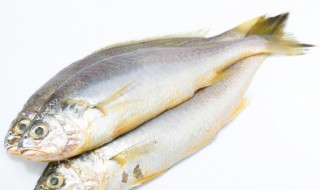 鱼汤的功效与作用 鱼汤的功效与作用及禁忌