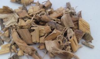 芦根的食用方法 鲜芦根的食用方法