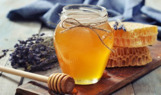 益母草蜂蜜的功效和作用 益母草蜂蜜是什么