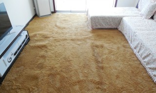 卧室地毯怎么清洗 卧室地毯怎么清洗才干净