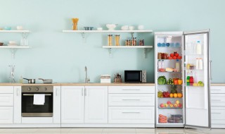 家里的冰箱如何杀菌清洁? 冰箱怎样清洁杀菌