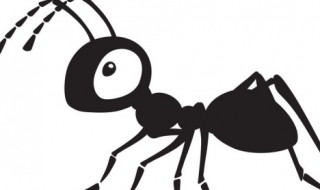 关于蚂蚁的谚语 关于蚂蚁的谚语英语