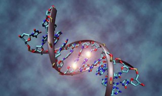 基因表达载体的构建在细胞内进行吗 基因表达载体的构建需要什么酶