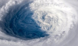 台风和飓风的不同点在于哪里发生 台风和飓风的不同点在于哪里
