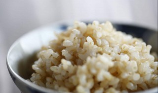 糙米热量高为什么减肥 糙米热量高为什么减肥吃糙米