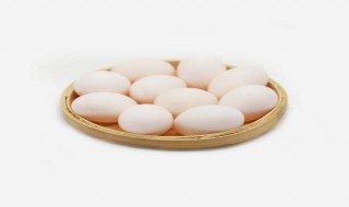 鸽子蛋蒸10分钟还没凝固能吃吗 鸽子蛋羹没凝固可以吃
