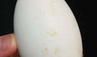 孕妇鹅蛋一周吃几个最好 孕妇鹅蛋一周吃几个