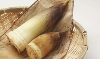 竹笋的功效与作用 竹笋的功效与作用以及食用禁忌