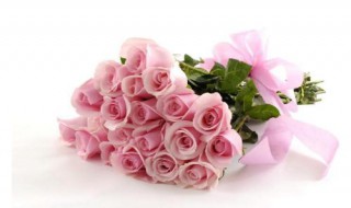 粉色玫瑰花语是什么 粉色玫瑰花语是什么11朵