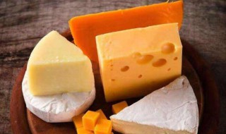 马苏里拉奶酪和芝士的区别 奶酪和芝士的区别