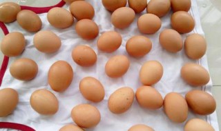 夏天鸡蛋怎么保存才能保鲜 夏天鸡蛋怎么保存才能保鲜时间长