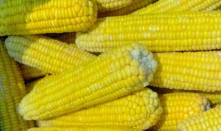 新鲜玉米怎么保鲜保存多久可以吃 新鲜玉米怎么保鲜保存多久