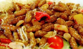 蚕虫的功效与作用点 蚕虫的功效与作用吃法