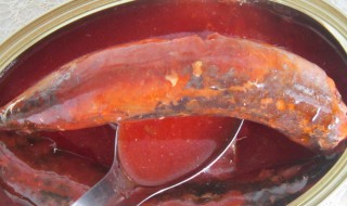 茄汁类鱼罐头做菜 茄汁类鱼罐头怎么做