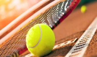 网球的基本握拍方法有 网球适用于初学者的握拍方式