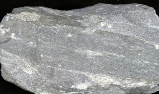 竹叶状灰岩属于什么岩 灰岩属于什么岩