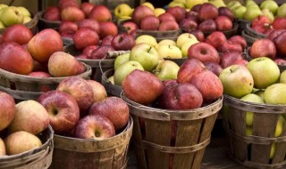苹果怎么才能长期保鲜 苹果怎么才能长期保鲜不坏