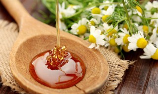 蜂蜜的作用和用途还有禁忌什么 蜂蜜的作用和用途