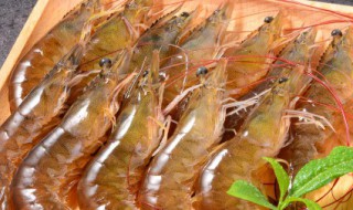 豉汁虾怎么做 豉汁虾怎么做最好吃