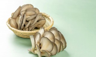 蘑菇炸几分钟能熟 蘑菇炸多长时间能熟