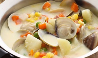 鲜蛤冬瓜排骨汤的做法大全 鲜蛤冬瓜排骨汤的做法