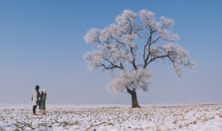 立冬节气是什么形成的（立冬节气是什么形成的原因）