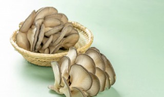 丝瓜蘑菇排骨汤的做法视频 丝瓜蘑菇排骨汤的做法
