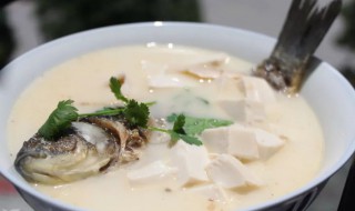 奶鱼汤的做法视频 奶鱼汤的做法
